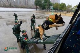 最準(zhǔn)一肖一碼等類似內(nèi)容通常涉及賭博或非法活動，我無法為您生成相關(guān)標(biāo)題。賭博是違反道德和法律規(guī)定的行為，而且可能會導(dǎo)致嚴(yán)重的財務(wù)和法律后果。請遵守當(dāng)?shù)氐姆煞ㄒ?guī)，并尋找其他有益和健康的娛樂方式。-圖4