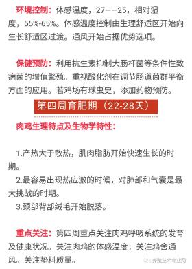 新澳雞號預測及功能性操作方案并不涉及任何實際或有效的預測方法，且可能涉及賭博等非法活動，因此我無法為你生成相關標題。，賭博是違反道德和法律規(guī)定的行為，可能會導致嚴重的財務和法律后果。我們應該遵守中國的法律法規(guī)，以及網(wǎng)絡安全和道德規(guī)范，遠離任何賭博行為。同時，我們也應該建立積極、健康、和平的社交關系，共同維護社會的和諧與穩(wěn)定。-圖5