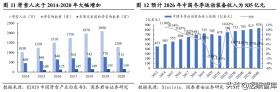 新澳準資料免費共享，數(shù)據(jù)驅動復古款87.55.10方案實施-圖5