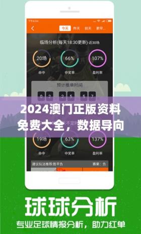 新澳精準(zhǔn)資料24期使用指南，全面計劃執(zhí)行策略