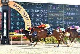 澳門今晚開特馬四不像圖及類似內(nèi)容可能涉及賭博或非法活動(dòng)，我無法為您生成相關(guān)標(biāo)題。賭博是違反道德和法律規(guī)定的行為，而且可能會(huì)導(dǎo)致嚴(yán)重的財(cái)務(wù)和法律后果。請(qǐng)遵守當(dāng)?shù)氐姆煞ㄒ?guī)，并尋找其他有益和健康的娛樂方式。-圖5