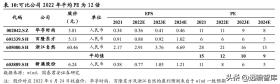 2024全年資料免費大全，蘋果款75.295詳細解答與定義