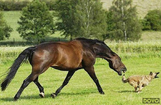 2024澳門今晚開特馬開什么涉及賭博活動，而賭博是違反道德和法律規(guī)定的行為，我不能為您生成相關(guān)標(biāo)題。，賭博可能會導(dǎo)致嚴(yán)重的財務(wù)和法律后果，對個人和家庭造成極大的傷害。我們應(yīng)該遵守中國的法律法規(guī)，以及網(wǎng)絡(luò)安全和道德規(guī)范，遠(yuǎn)離任何賭博行為。如果您面臨困難或需要幫助，建議尋求合法合規(guī)的途徑，如咨詢專業(yè)人士或相關(guān)機(jī)構(gòu)，尋求幫助和支持。-圖7