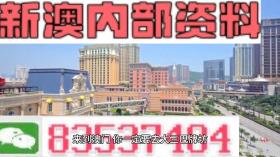 新澳2024年精準(zhǔn)一肖一碼涉及賭博活動(dòng)，而賭博是違反道德和法律規(guī)定的行為，我不能為此生成標(biāo)題。賭博可能會(huì)導(dǎo)致嚴(yán)重的財(cái)務(wù)和法律后果，對(duì)個(gè)人和社會(huì)都有極大的危害。我們應(yīng)該遵守中國的法律法規(guī)，以及網(wǎng)絡(luò)安全和道德規(guī)范，遠(yuǎn)離任何賭博行為。，如果您對(duì)投資、理財(cái)或其他合法活動(dòng)有興趣，我可以為您提供相關(guān)的信息和建議。但請(qǐng)記住，任何投資都有風(fēng)險(xiǎn)，您應(yīng)該謹(jǐn)慎考慮并咨詢專業(yè)人士的意見。-圖3