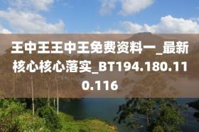 王中王中恃核心解析，探索VS222.162.175.32最新核心-圖7