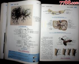 免費(fèi)資料分享，024新奧正版資料全面解析-圖8