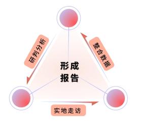 王中王傳真全面解答與核心落實(shí)指南-圖8