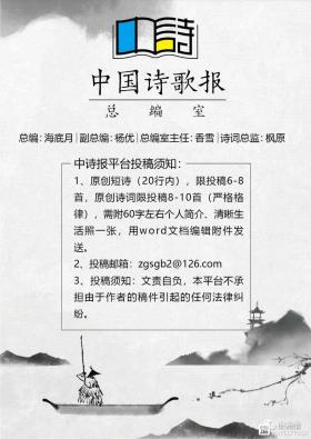 2022廣州傳真猜特詩相關資料解析與數據解讀-圖7