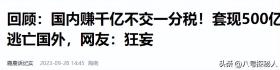 千億富翁套現(xiàn)500億逃稅逃亡國外引眾怒-圖33