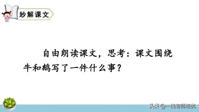 統(tǒng)編四年級上冊牛和鵝課文重點解析及課件概覽-圖11