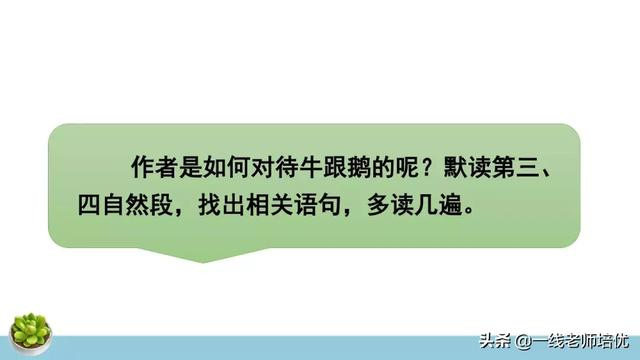 統(tǒng)編四年級上冊牛和鵝課文重點解析及課件概覽-圖13