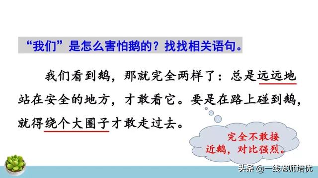 統(tǒng)編四年級上冊牛和鵝課文重點解析及課件概覽-圖16