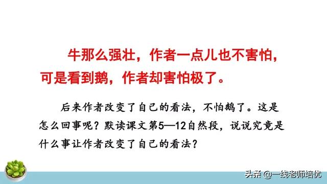 統(tǒng)編四年級上冊牛和鵝課文重點解析及課件概覽-圖17