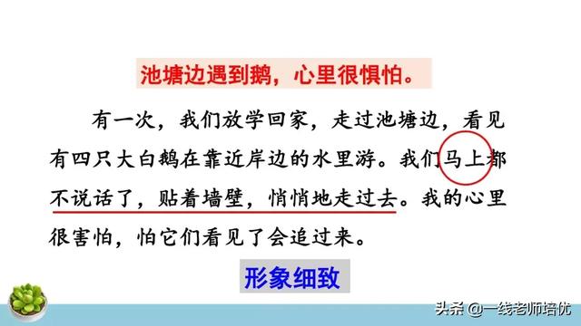 統(tǒng)編四年級上冊牛和鵝課文重點解析及課件概覽-圖18