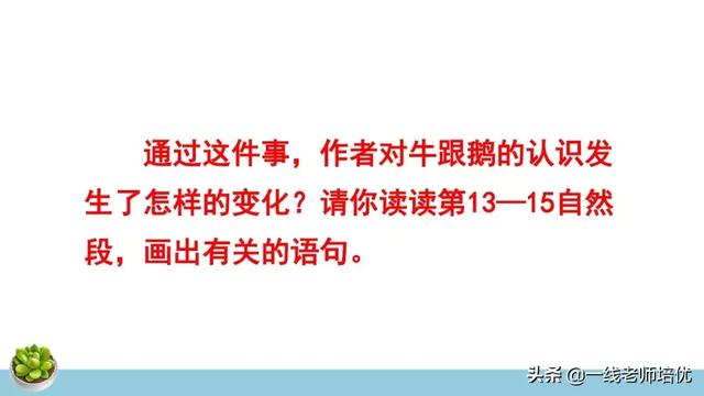 統(tǒng)編四年級上冊牛和鵝課文重點解析及課件概覽-圖31