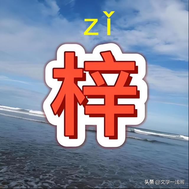 梓字正確讀音及桑梓含義解析-圖2