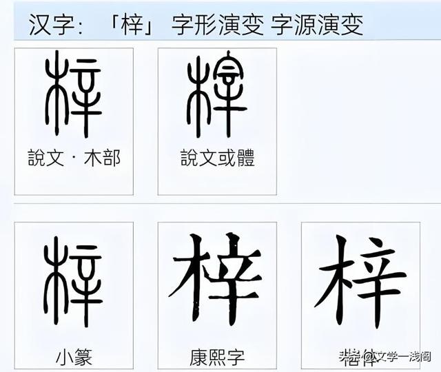 梓字正確讀音及桑梓含義解析-圖7