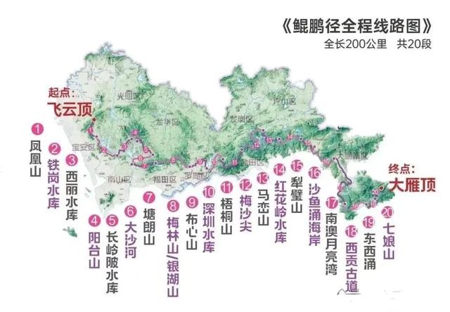 深圳攝影勝地，水靈靈的大片輕松出爐！-圖18